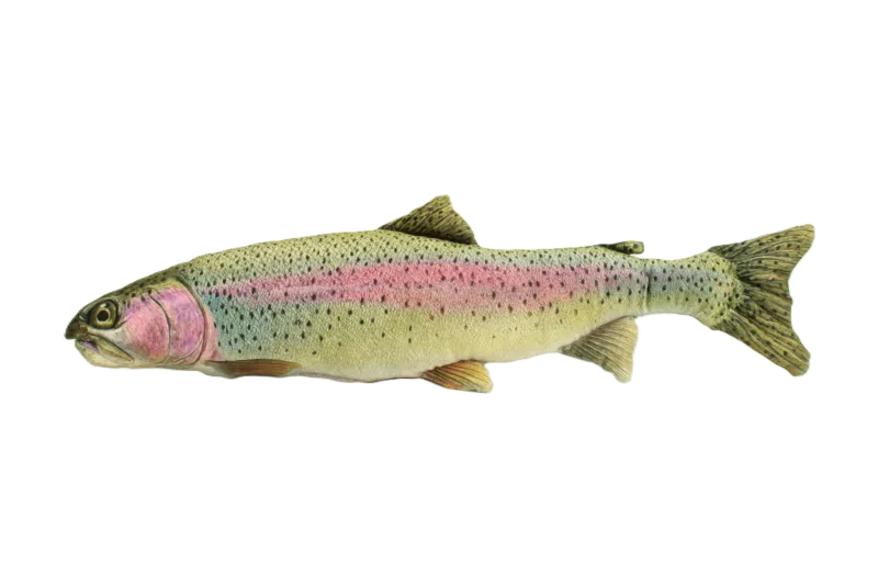 Poduszka ryba pstrąg tęczowy 66 cm – realistyczna poduszka wędkarska