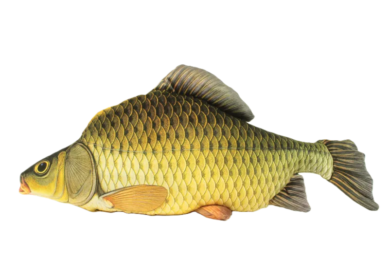 Poduszka dekoracyjna Ryba Karp – realistyczna maskotka